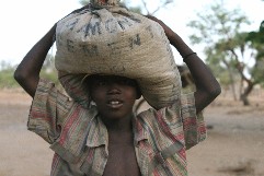 mali.jpg