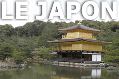 japon_homo-japonicus_web.jpg