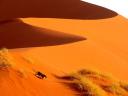 Namibie