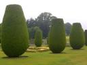 Lanhydrock Home and gardens