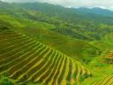 Longji