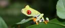 Costa Rica